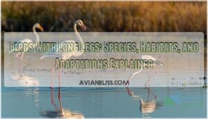 birds with long legs birds with long legs