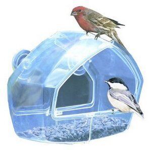 Birdscapes Clear Window Feeder 348, B00IKM9CNG