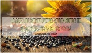 black oil sunflower seed