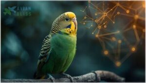 budgerigar (parakeet) budgerigar (parakeet)