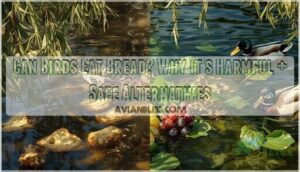 can birds eat bread can birds eat bread