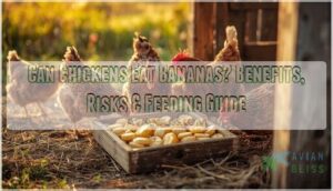 can chickens eat bananas can chickens eat bananas