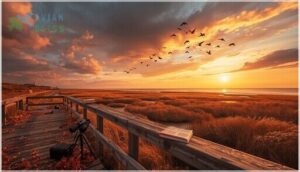 cape may autumn birding festival cape may autumn birding festival