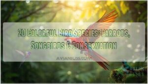 colorful bird species colorful bird species