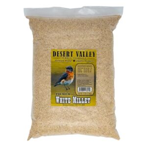 Desert Valley White Millet Seed, B0986Y9KWS
