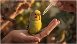 direct oral administration tips direct oral administration tips