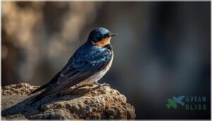 distinctive coloration and markings distinctive coloration and markings