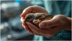 emergency care for wing fractures emergency care for wing fractures