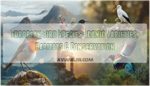 european bird species