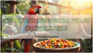 exotic bird care advice exotic bird care advice