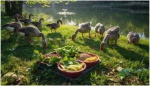 feeding tips for healthy geese