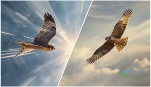 flight styles and speed