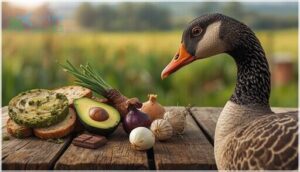 foods geese should never eat