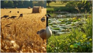 habitat influences on diet