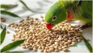 hemp seeds – protein and balanced nutrients hemp seeds – protein and balanced nutrients