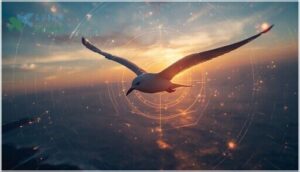 how do seagulls navigate migration how do seagulls navigate migration