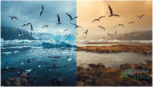 how does climate change affect seagull migration how does climate change affect seagull migration