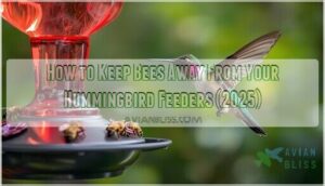 how to keep bees away from your hummingbird feeders