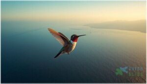 hummingbird migration facts hummingbird migration facts
