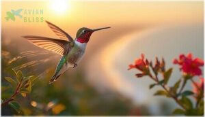 hummingbird migration patterns in florida hummingbird migration patterns in florida