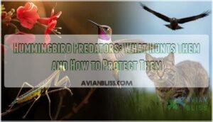 hummingbird predators hummingbird predators