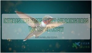 interesting facts about hummingbirds interesting facts about hummingbirds