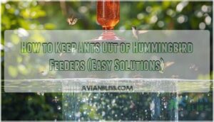 keep ants out of hummingbird feeder keep ants out of hummingbird feeder