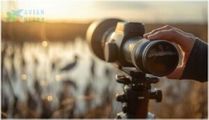 magnification range and zoom quality magnification range and zoom quality