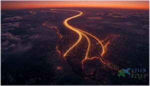 major migratory flyways major migratory flyways