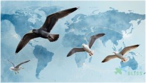 major migratory gull species major migratory gull species