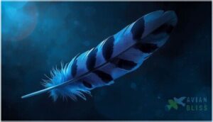 meaning of black streaks and mystery meaning of black streaks and mystery