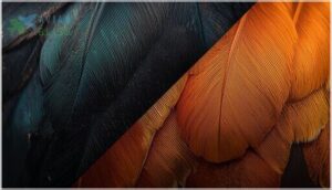 melanin colors melanin colors