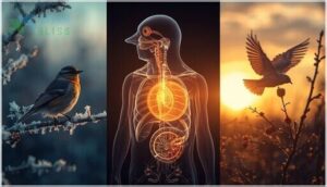 migration triggers explained migration triggers explained