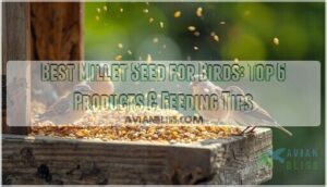 millet seed for birds