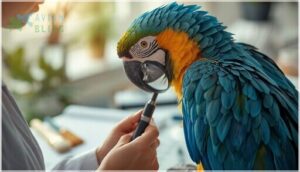 monitoring and maintaining feather condition monitoring and maintaining feather condition