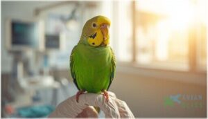 monitoring for adverse reactions monitoring for adverse reactions