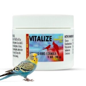 Morning Bird Vitalize for Birds B0DTLKSC4B