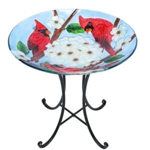 MUMTOP Outdoor Glass Birdbath with B0DSP48G36