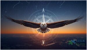 navigational skills and adaptations navigational skills and adaptations