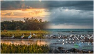 notable examples (everglades, long island sound) notable examples (everglades, long island sound)