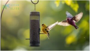 nyjer feeders for finches nyjer feeders for finches