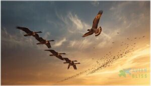 observing flight behavior observing flight behavior