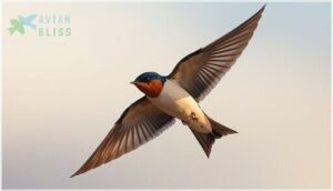 physical description and size physical description and size