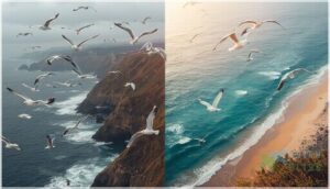 regional variations in migration regional variations in migration