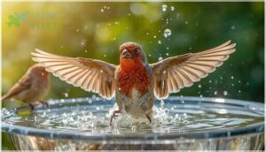 removing parasites and dirt removing parasites and dirt