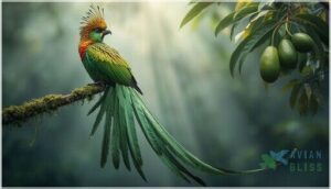 resplendent quetzal resplendent quetzal