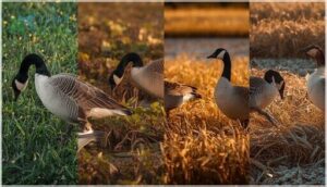 seasonal diet changes