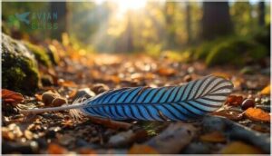 signs and omens: finding a blue jay feather signs and omens: finding a blue jay feather