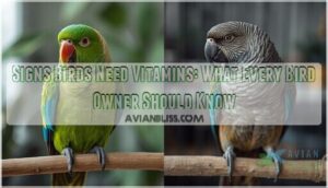 signs birds need vitamins signs birds need vitamins