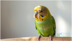 skin irritation and crusts skin irritation and crusts